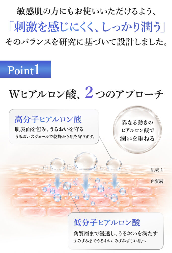 Wヒアルロン酸の説明