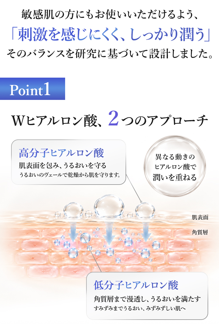 Wヒアルロン酸の説明